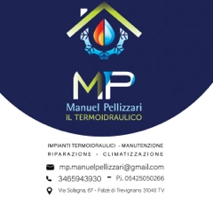 Logo Manuel Pellizzari