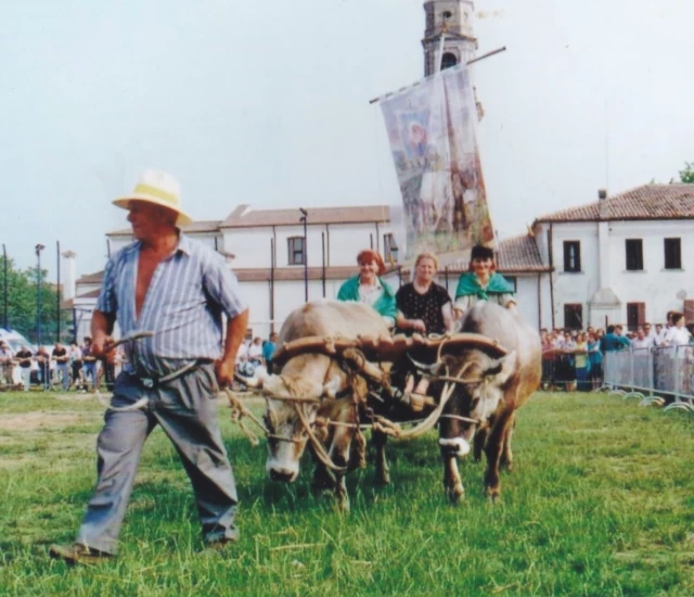 FOTO TRE FORNI