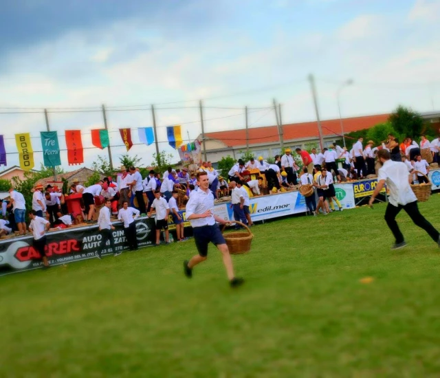 PALIO BATAR PANOCE 2017
