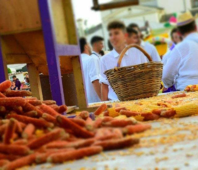PALIO BATAR PANOCE 2017